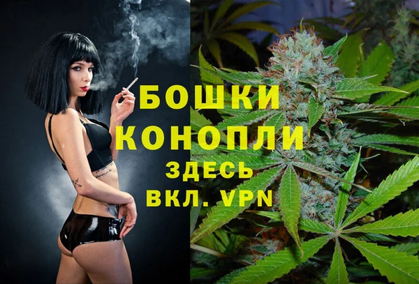 spice Алексеевка